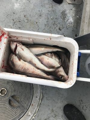 a fish jumping out of the oven