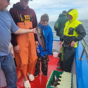 a group of people standing in front of a cake