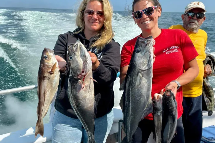 a group of people standing next to a fish in the water