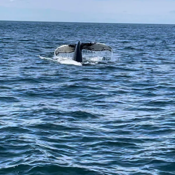 a man riding a wave on top of a body of water