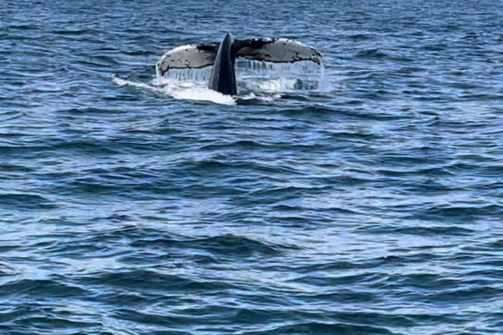 a man riding a wave on top of a body of water