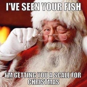 a man wearing glasses