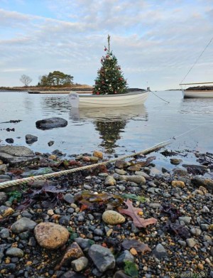 a rocky shore next to a body of water