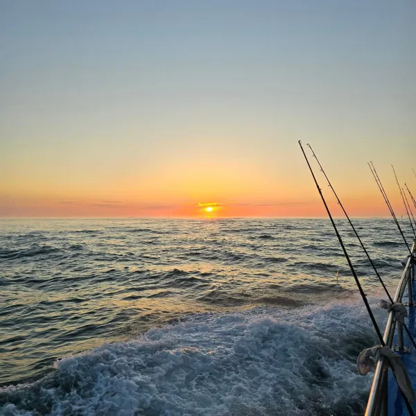 a boat on a beach near a body of water