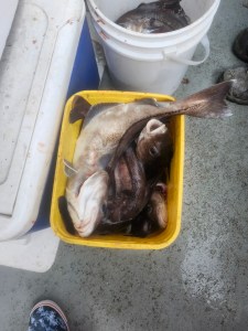 a container with food in it