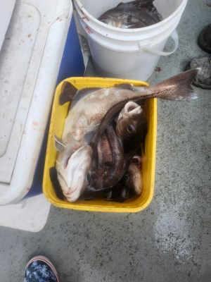 a container with food in it