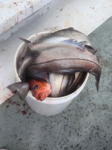 a broken bowl