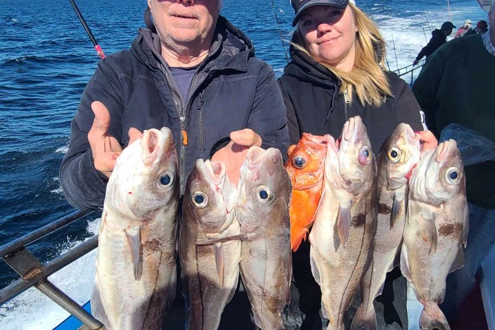 a person holding a fish in the water