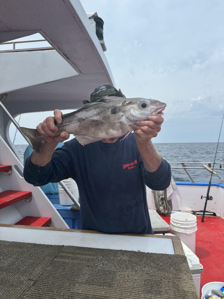 a man holding a fish