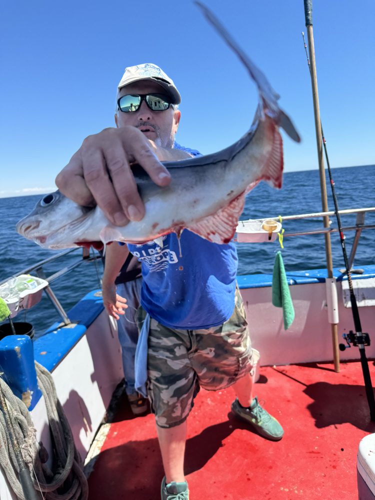 a person holding a fish on a boat