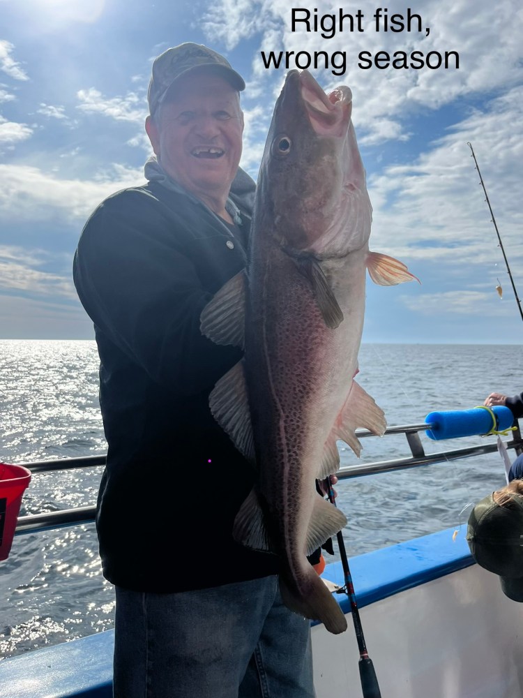 a person holding a fish in the water