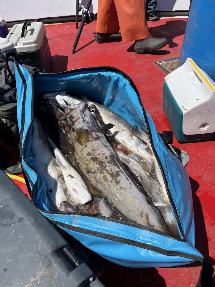 a bag of luggage sitting on top of a fish