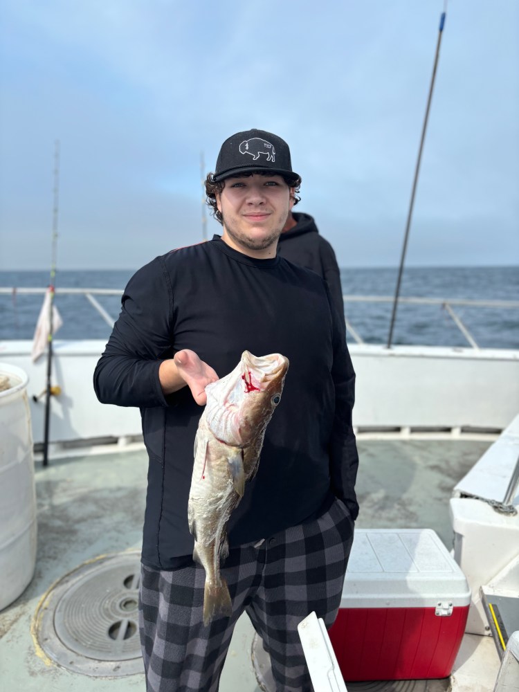 a person holding a fish on a boat