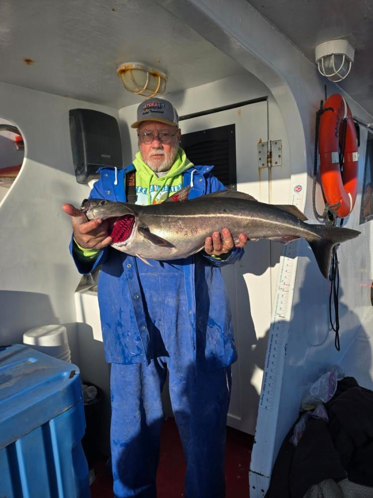 a man holding a fish