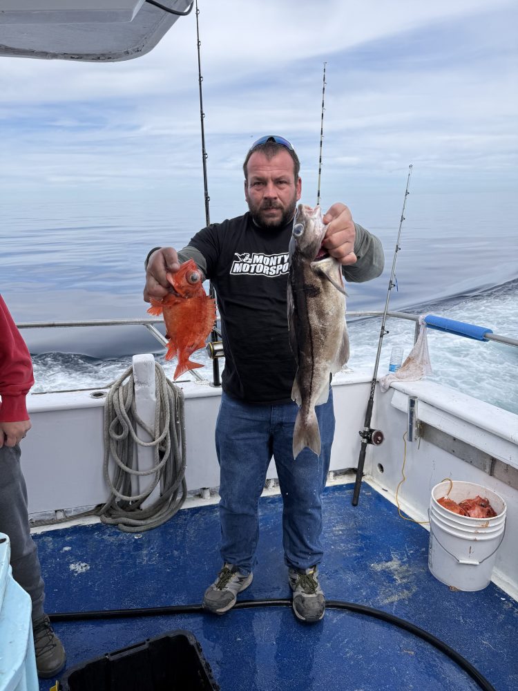 Person on a boat holding two fish, one gray and one orange.