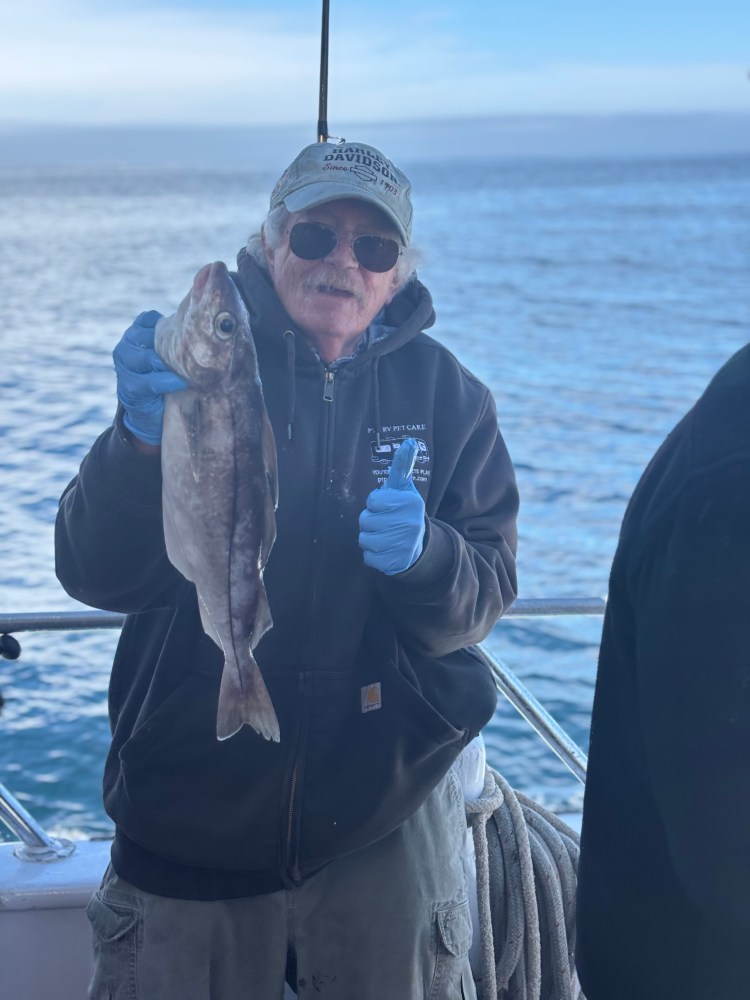Person in a jacket holding a fish on a boat with ocean in background.