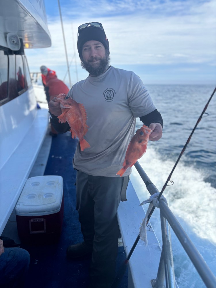 Person on boat holding two orange fish near the ocean.