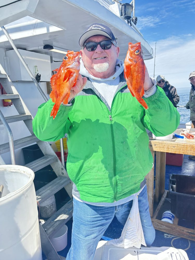 Person in green jacket holding two orange fish on a boat.