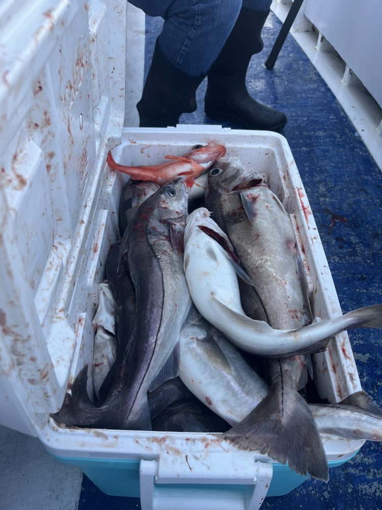 Open cooler filled with various fish on a boat, person wearing black boots sitting nearby.