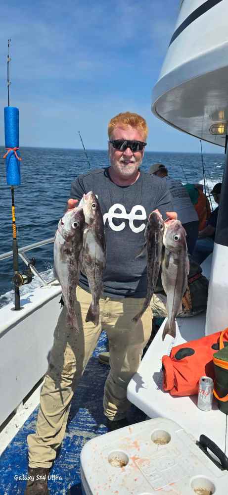 Person holding four fish on a boat under a clear sky.