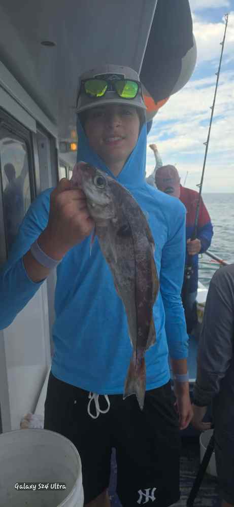 Person in blue hoodie holding a fish on a boat.