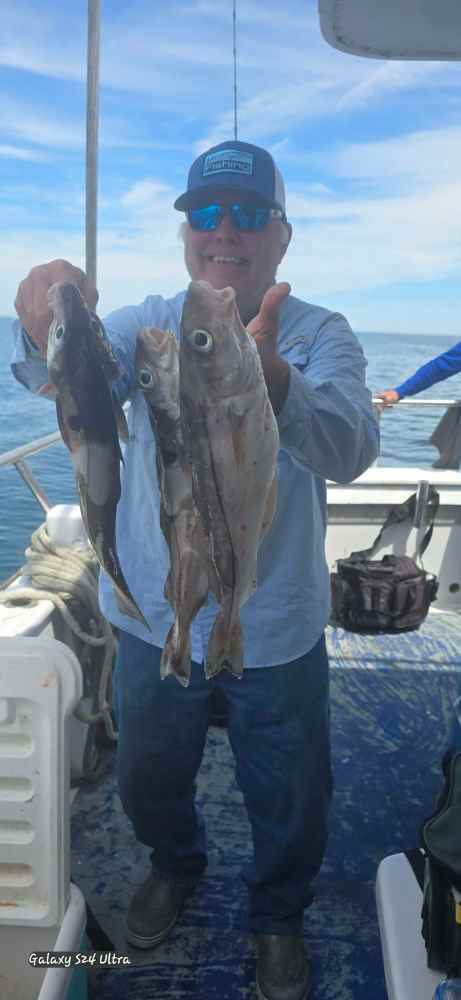 Man on a boat holding three fish under a clear sky.