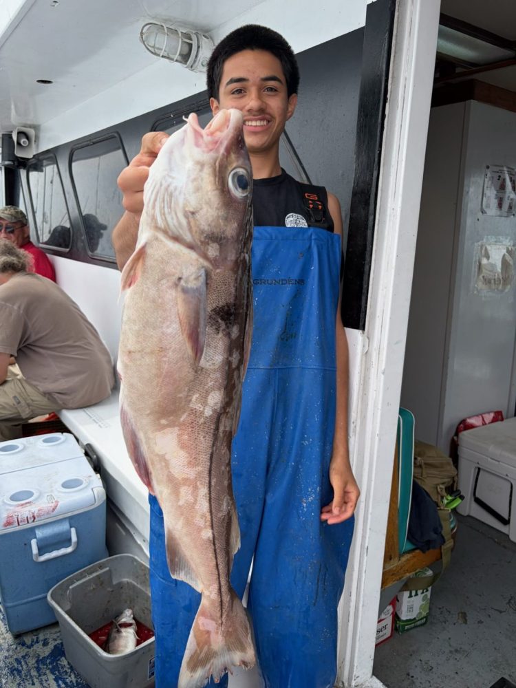 Person in blue apron holding a large fish on a boat.