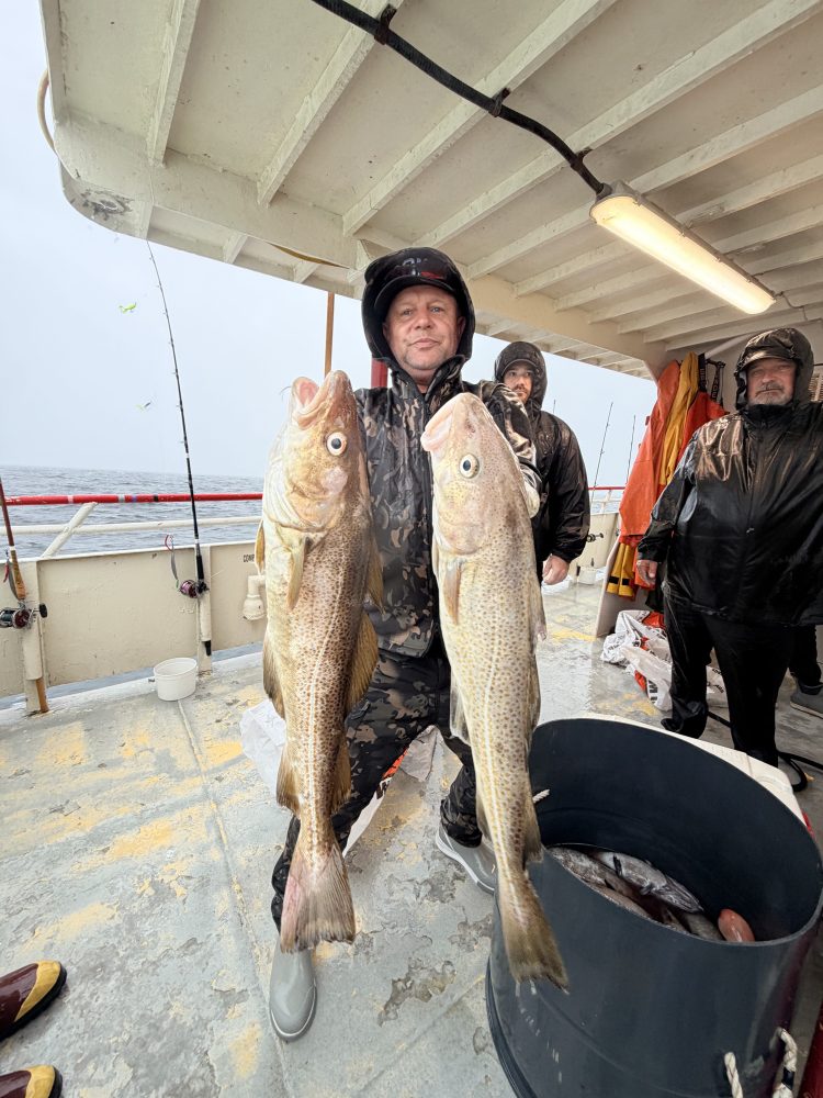 Three anglers on a boat holding two large fish.