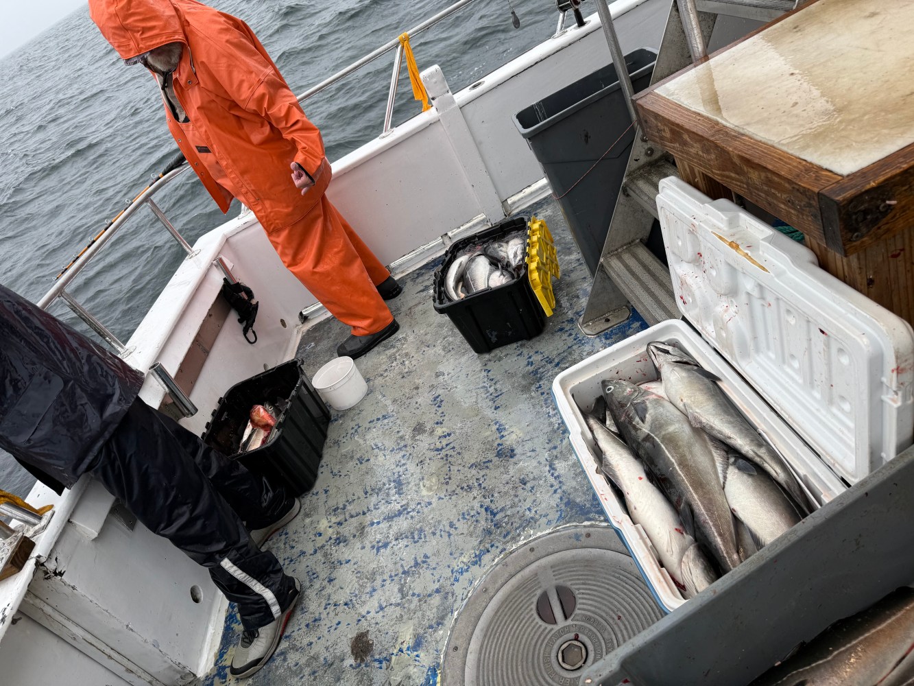 Two people in rain gear on a fishing boat with containers of fish.