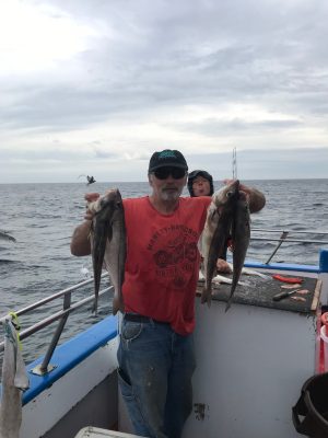 Wed Sept 1 All Day Report | Al Gauron