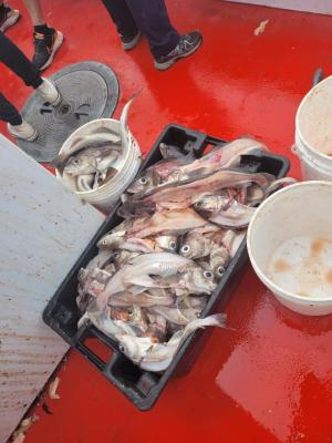 a bowl of food on a table