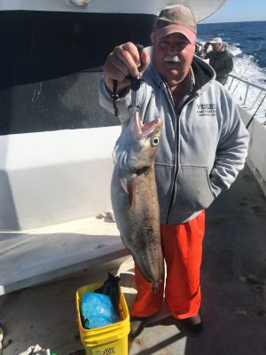 a man holding a fish